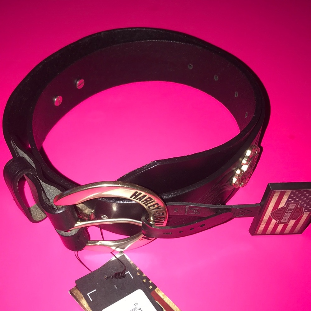 HARLEY DAVIDSON TOURING BELT!!!